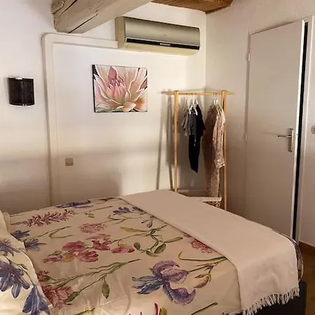 T2/3 Centre Au Pied Du Castillet Apartment *