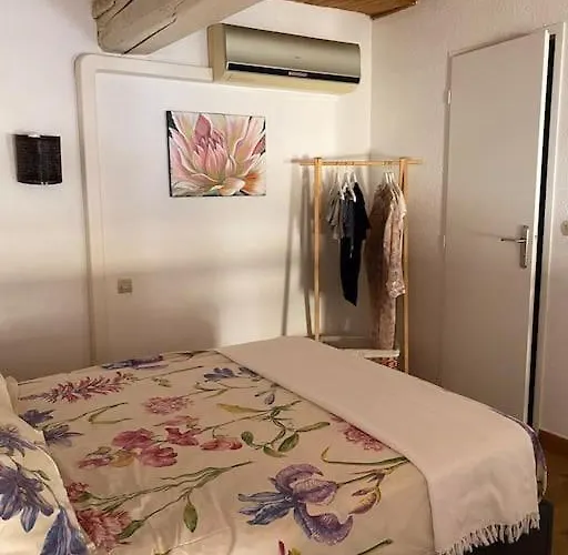 T2/3 Centre Au Pied Du Castillet Apartment *