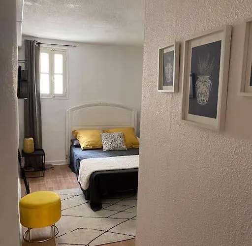 Apartment T2/3 Centre Au Pied Du Castillet Perpignan